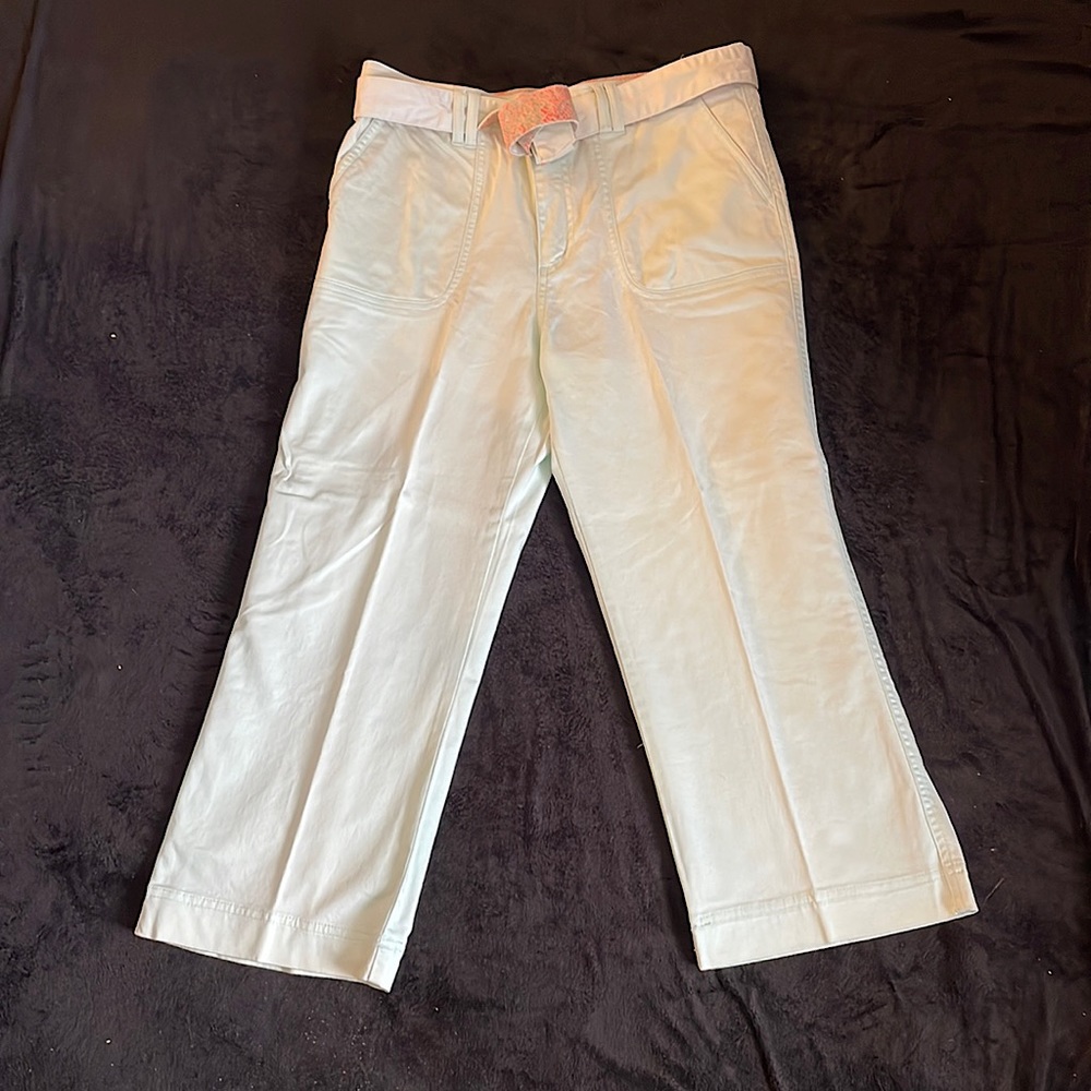 NWOT Mint green Capri’s